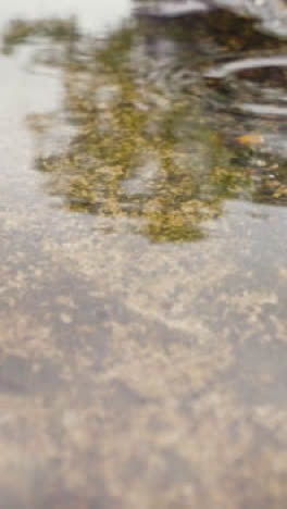 Vertikales-Video-Nahaufnahme-Von-Regen,-Der-In-Pfützen-Auf-Dem-Bürgersteig-Fällt